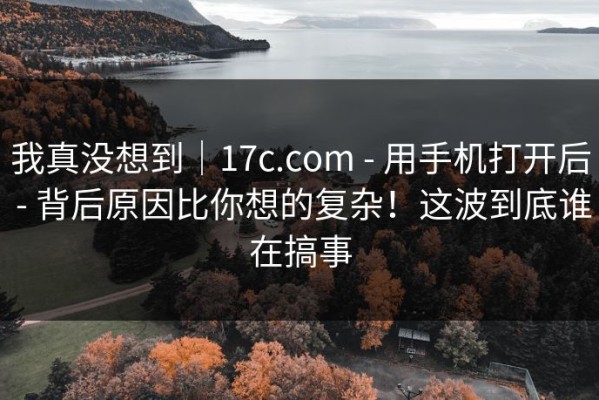 我真没想到｜17c.com - 用手机打开后 - 背后原因比你想的复杂！这波到底谁在搞事