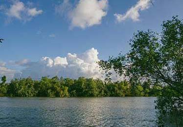 我真的被整无语了 ｜ 糖心在线观看 - 在电脑上试了下…别等踩雷了才后悔